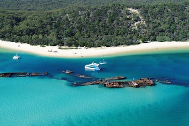 Moreton Bay Marine Park full-day tour with transfer from Gold Coast